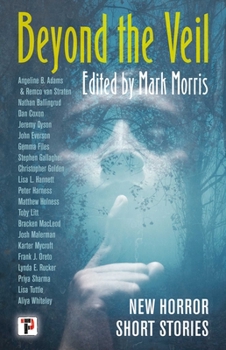 Hardcover Beyond the Veil Book