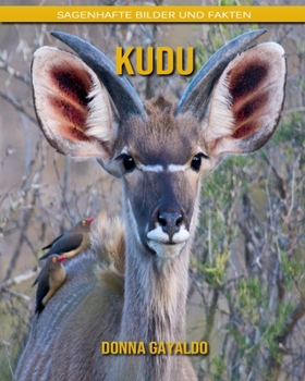 Kudu: Sagenhafte Bilder und Fakten