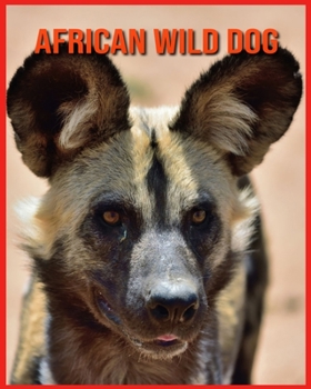 African wild dog: Incredible Pictures and Fun Facts about African wild dog