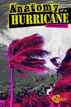 Hardcover Anatomy of a Hurricane Book