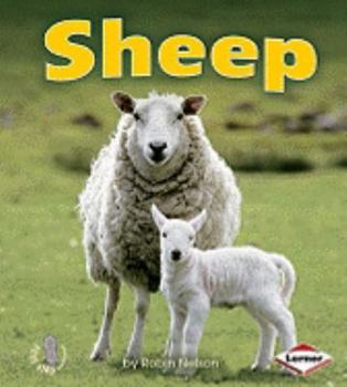 Sheep (First Step Nonfiction - Farm Animals) - Book  of the First Step Nonfiction: Farm Animals