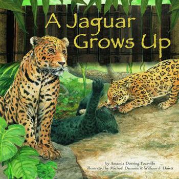 A Jaguar Grows Up (Wild Animals) (Wild Animals) - Book  of the Wild Animals