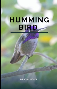 Humming Bird: An informative guide on humming birds.
