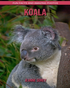 Koala: Fun Facts and Amazing Photos