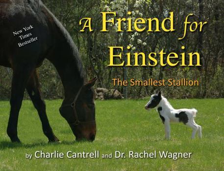 Paperback A Friend For Einstein: The Smallest Stallion Book