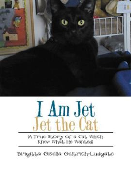 Paperback I Am Jet Jet the Cat: (A True Story of a Cat Which Knew What He Wanted) Book