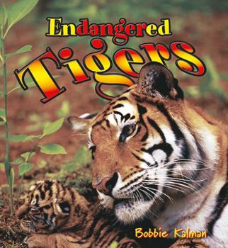 Paperback Endangered Tigers Book