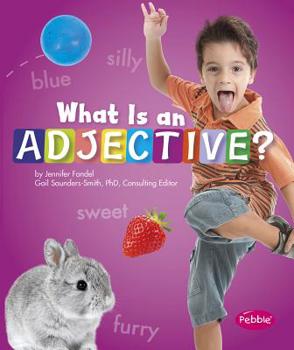Paperback What Is an Adjective? Book