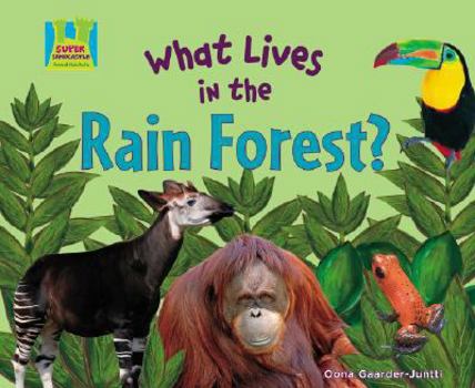 Library Binding What Lives in the Rain Forest? Book