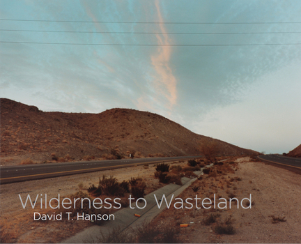 Hardcover David T. Hanson: Wilderness to Wasteland Book