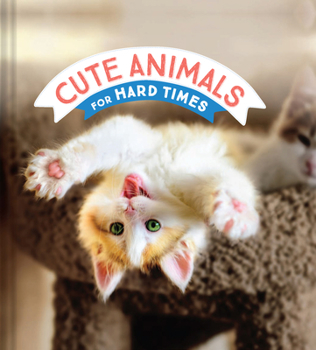 Hardcover Cute Animals for Hard Times Book