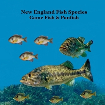New England Game Fish and Panfish Species Kids Book: Great Book About the Different Types of Fish in New England