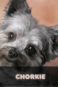 Paperback Chorkie: Complete breed guide Book
