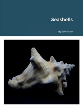 Paperback Seashells Book