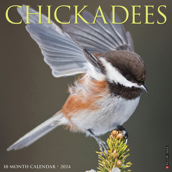 Calendar Chickadees 2024 12 X 12 Wall Calendar Book