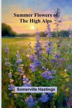 Summer flowers of the high Alps