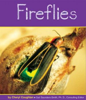 Fireflies (Insects) - Book  of the Insects