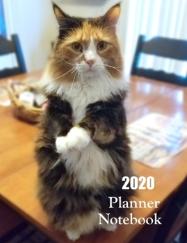 2020 Planner Notebook: Funny Calico Cat Planner Book With Monthly and Weekly Calendars, Monthly Budget Sheet and Weekly Meal Plan