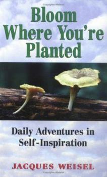Paperback Bloom Where You're Planted: Daily Adventures in Self-Inspiration Book