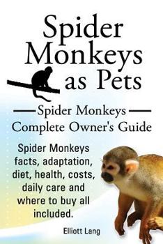 Spider Monkeys as Pets. Spider Monkeys Facts, Adaptation, Diet, Health, Costs, Daily Care and Where to Buy All Included. Spider Monkeys Complete Owner
