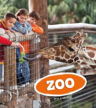 Paperback Zoo Book