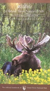 Paperback Wildlife of Grand Teton National Park Book