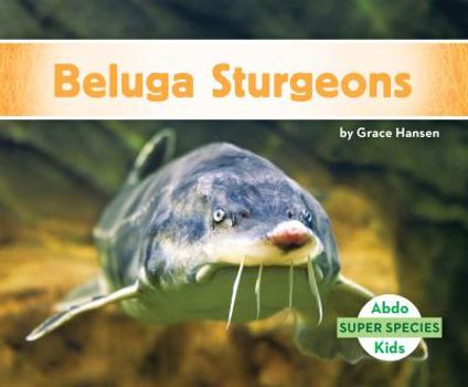 Library Binding Beluga Sturgeons Book