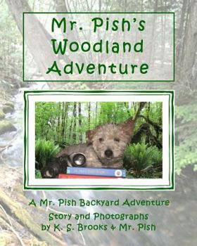 Mr. Pish's Woodland Adventure - Book #1 of the Mr. Pish Backyard Adventure