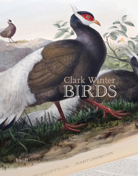 Hardcover Clark Winter: Birds Book