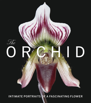 Orchid : Intimate Portraits of a Fascinating Flower
