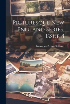 Paperback Picturesque New England Series, Issue 8 Book