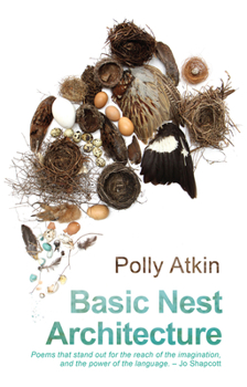 Paperback Basic Nest Architecture Book