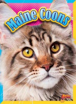 Paperback Maine Coons Book