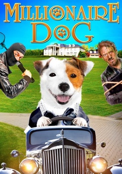 DVD Millionaire Dog Book