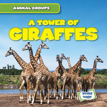 Library Binding A Tower of Giraffes Book