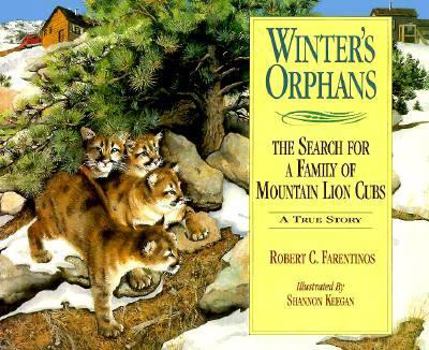 Paperback Winter's Orphans: The Search for a Family of Mountain Lion Cubs Book