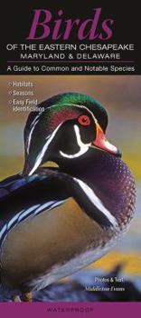 Pamphlet Birds of the Eastern Chesapeake: Maryland & Delaware: A Guide to Common & Notable Species Book