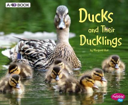 Ducks and Their Ducklings - Book  of the Animal Offspring
