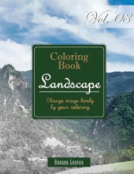 Wide Landscapes Collection: Gray Scale Photo Adult Coloring Book, Mind Relaxation Stress Relief Coloring Book Vol8: Series of coloring book for ad