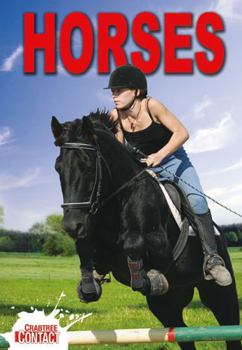 Paperback Horses Book