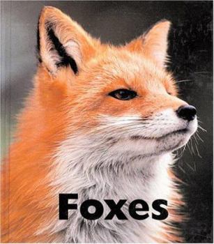 Library Binding Foxes Book