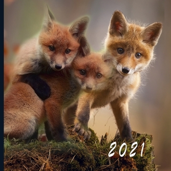 2021: Monthly Photo Calendar - January 2021 - December 2021 - Monthly Calendar with U.S./UK/ Canadian/Christian/Jewish/Muslim Holidays - Cute Fox Photo Calendar