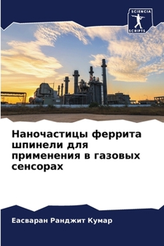 Paperback Наночастицы феррита шпи& [Russian] Book