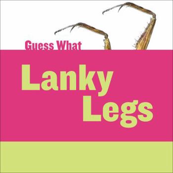 Paperback Lanky Legs: Praying Mantis Book