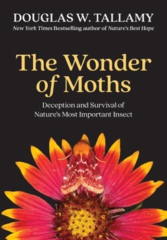 Wonder of Moths : Deception and Survival of Natures Most Important Insect