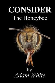 Paperback Consider The Honeybee Book