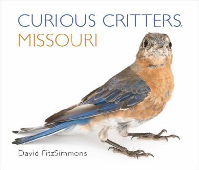 Board book Missouri Book