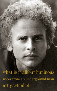 Paperback What Is It All But Luminous: Notes from an Underground Man Book