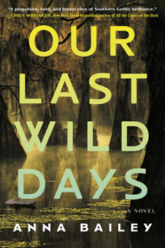 Our Last Wild Days: A Novel