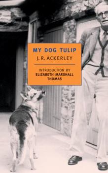 Paperback My Dog Tulip Book